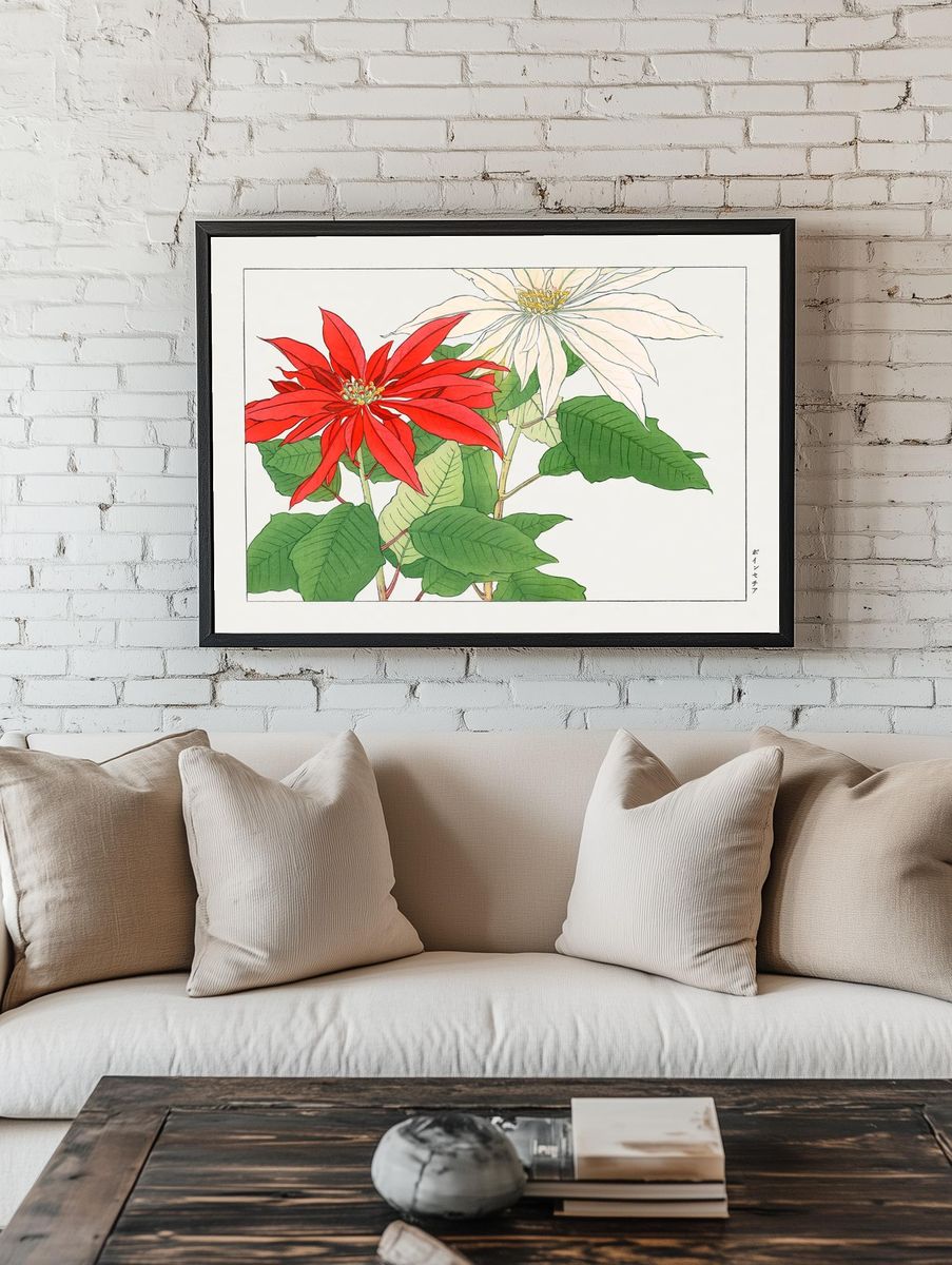 Poinsettia Botanical Illustration Poster. room preview