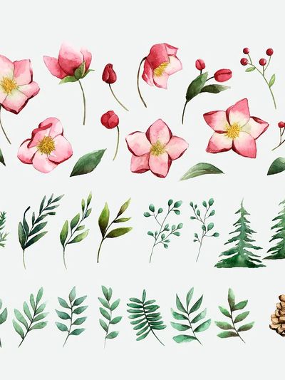 Watercolor set winter flowers leaves. poster print