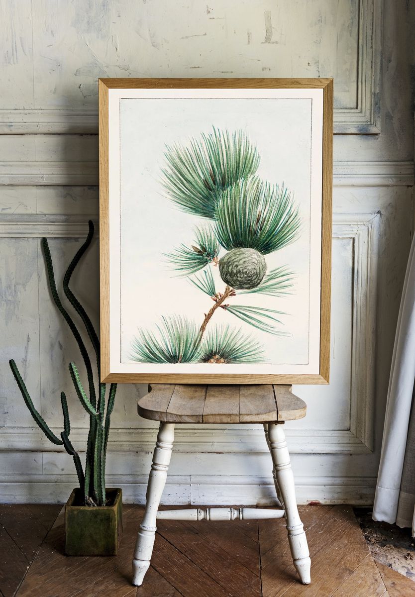 Gayo matsu pine 1870–1880 Megata. room preview
