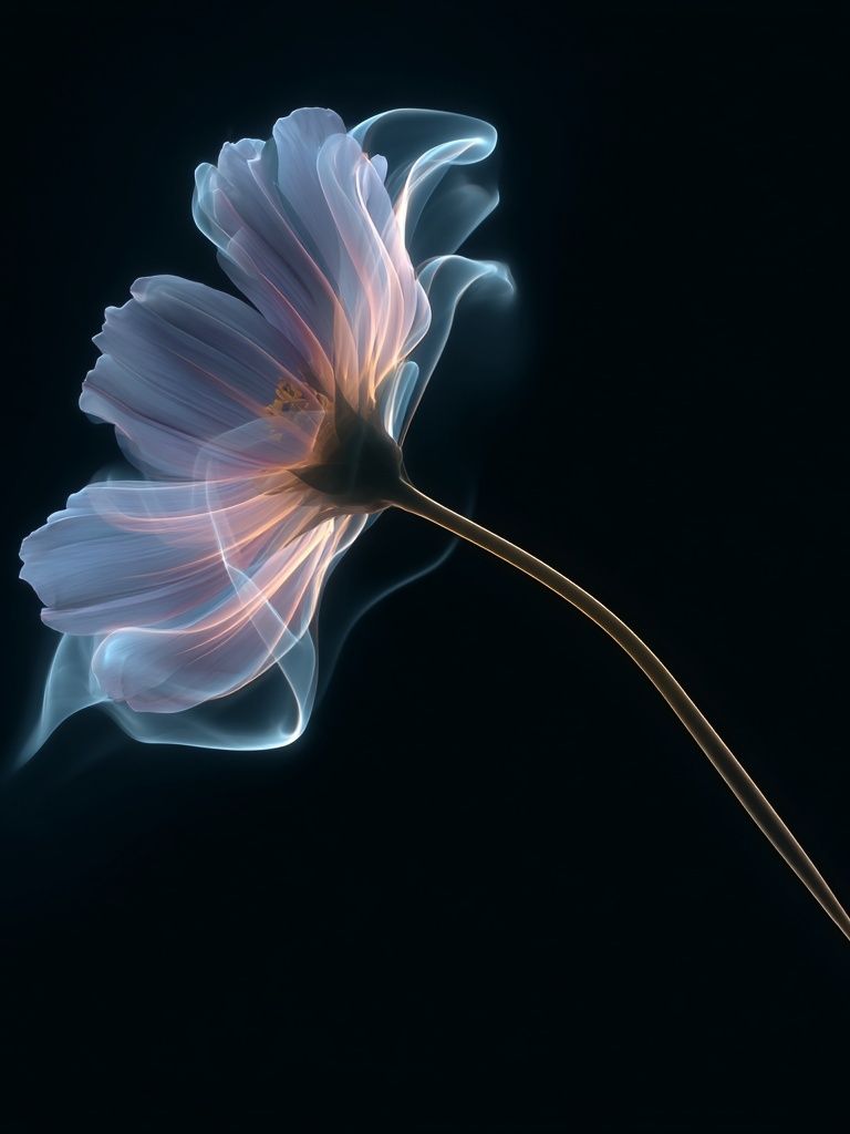 Glowing Flower Abstract Print. poster — botanical art