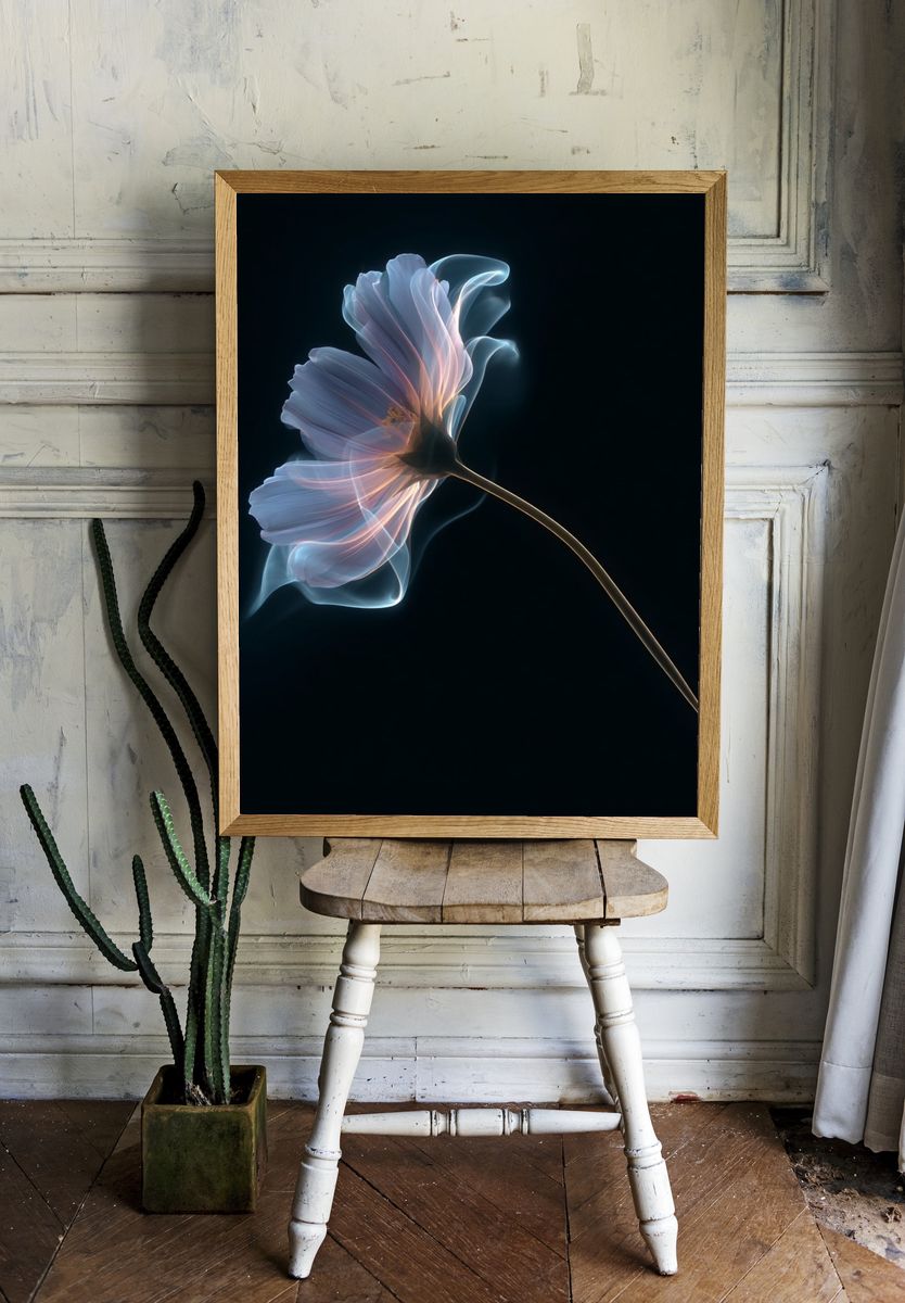 Glowing Flower Abstract Print room preview