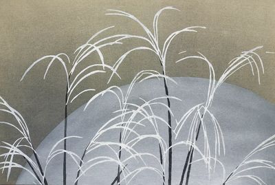Frost Momoyogusa–Flowers Hundred Generations (1909). poster