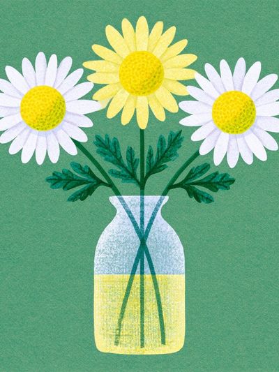 Daisy Bouquet in Vase Botanical Print.