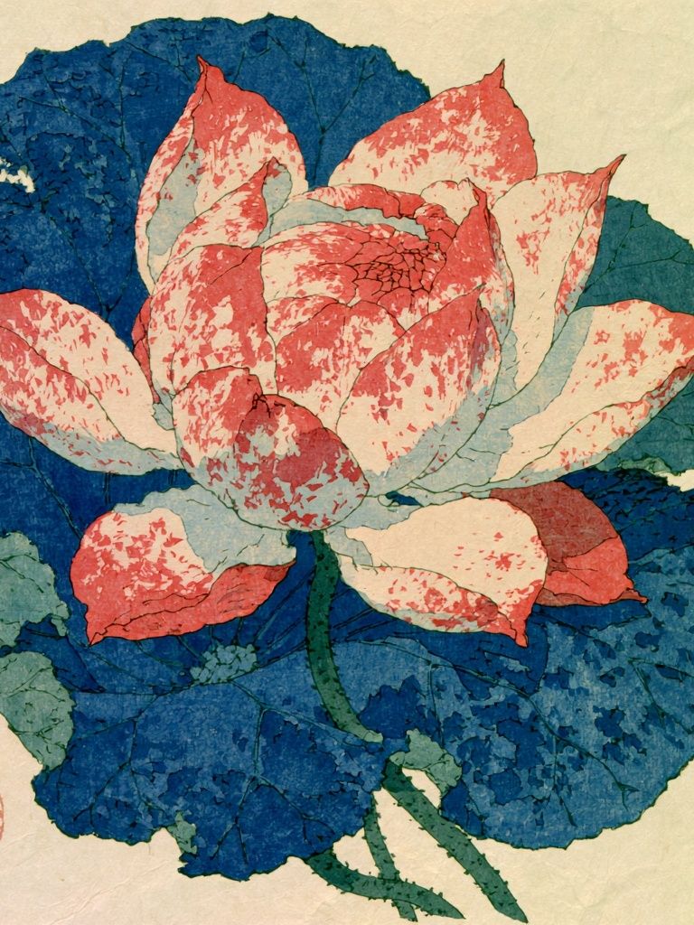 Lotus Bloom — Botanical Print. poster — botanical art
