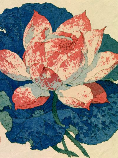 Lotus Bloom — Botanical Print.