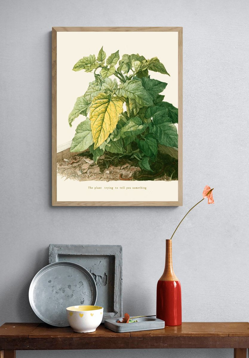 Wilting Plant Watercolor Poster. — room view 3
