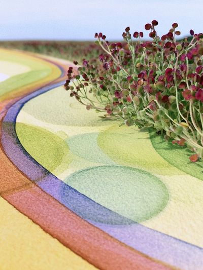 Rainbow Botanical Abstract Poster. poster