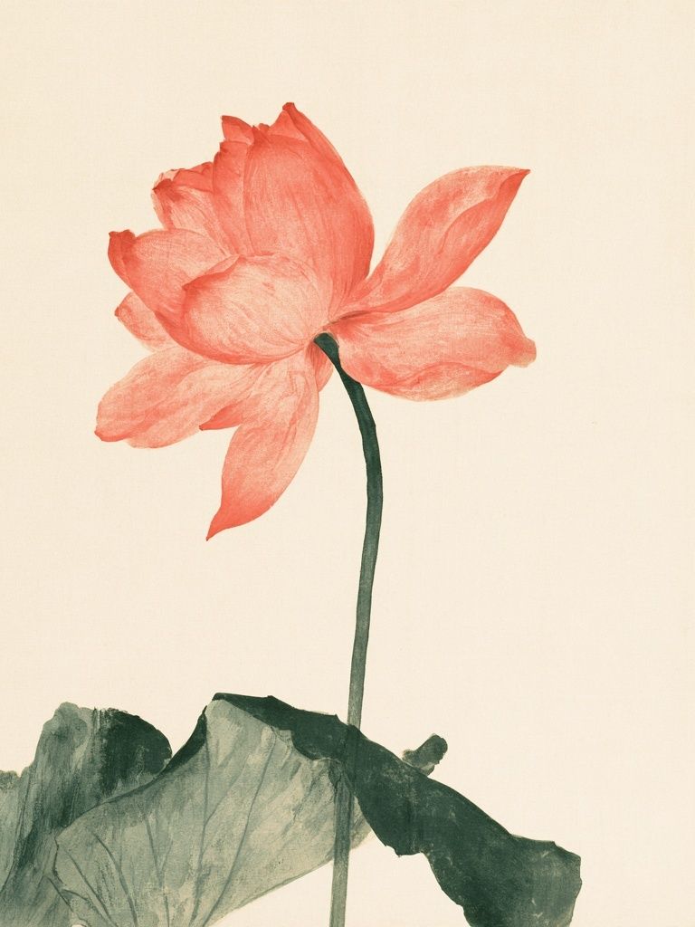 Coral Lotus Botanical Print. poster — botanical art