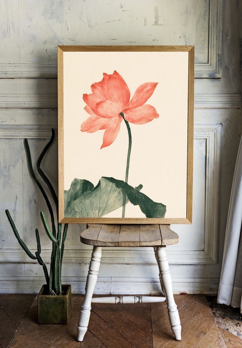 Coral Lotus Botanical Print. room preview