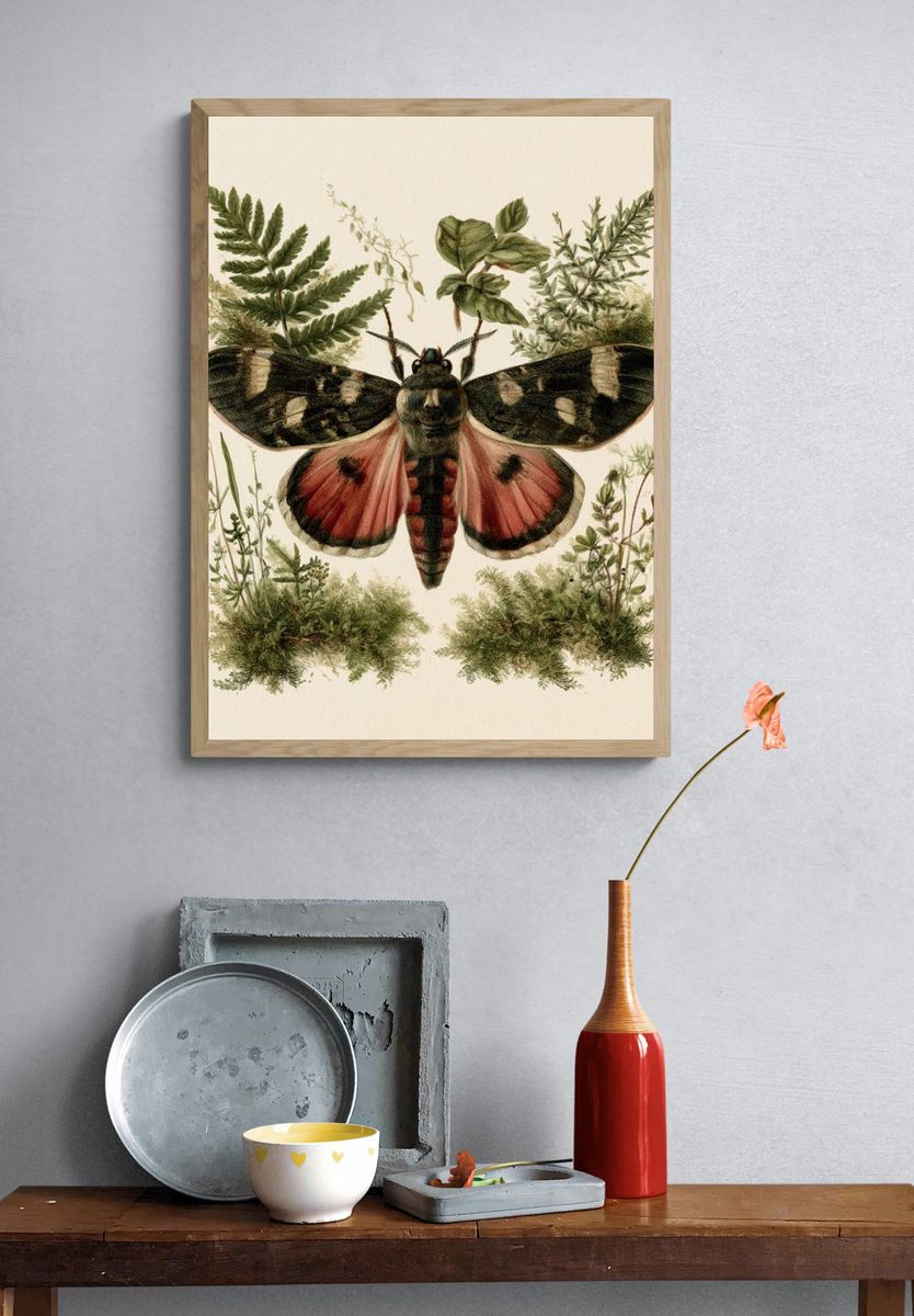 Moth Botanical Illustration Poster. — room view 3