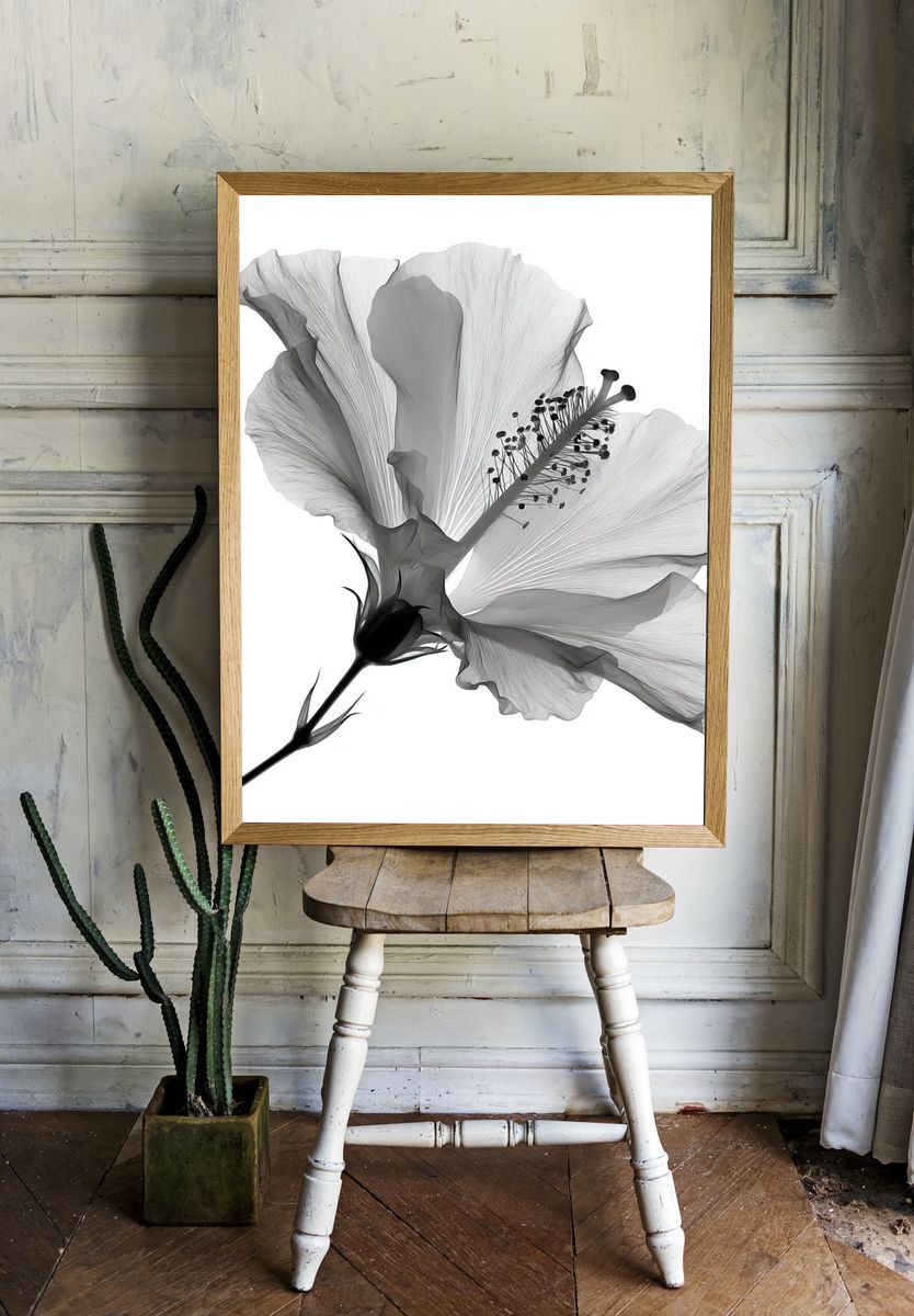 Hibiscus Bloom Black-White Print. room preview