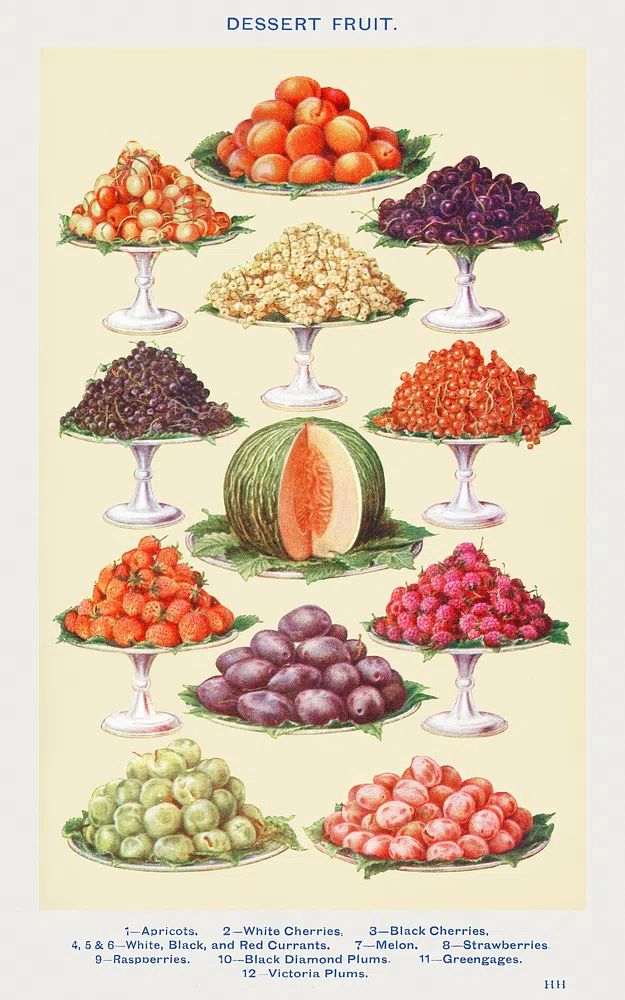 Dessert Fruit: Apricots, White Cherries. poster detail