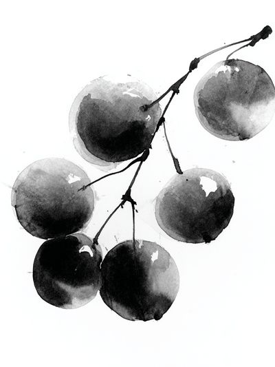 Watercolor Cherries Minimalist Print. poster print