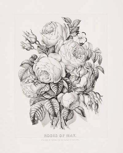 Rose May (1870) Currier &. poster