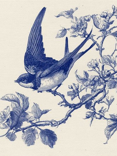 Blue Swallow Botanical Print. poster
