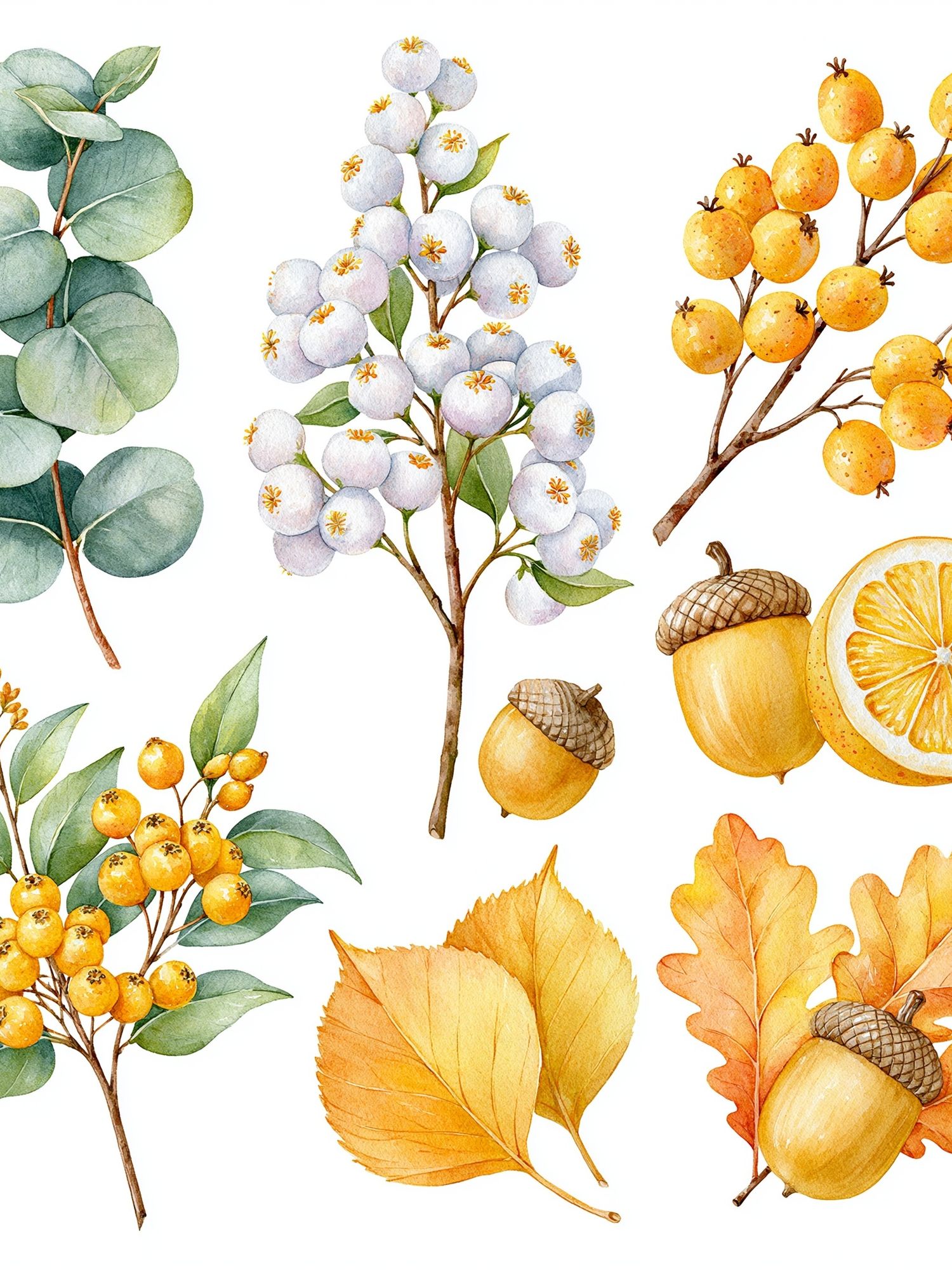 Autumn Botanical Watercolor Print. poster detail