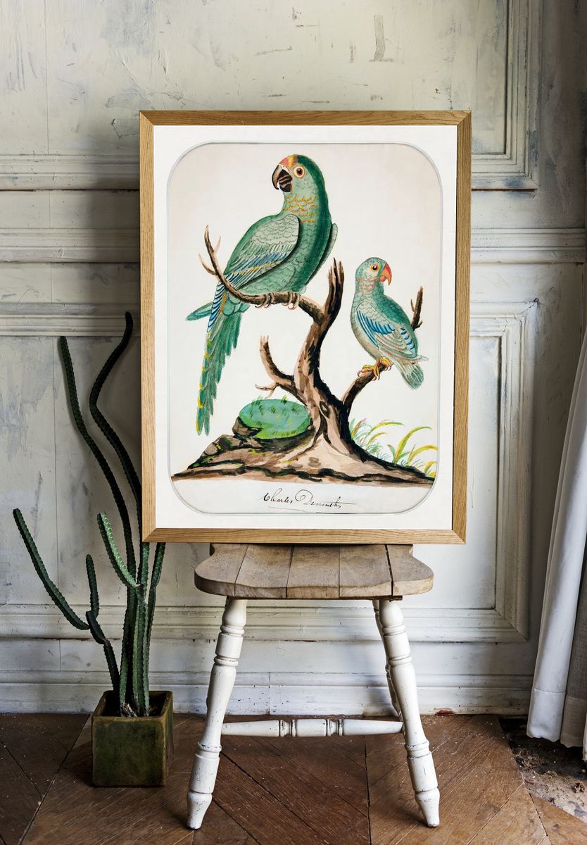 Two Parrots Barren Tree (ca.1916). room preview