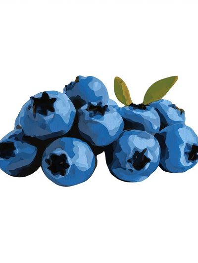 Blueberries Watercolor Print. poster