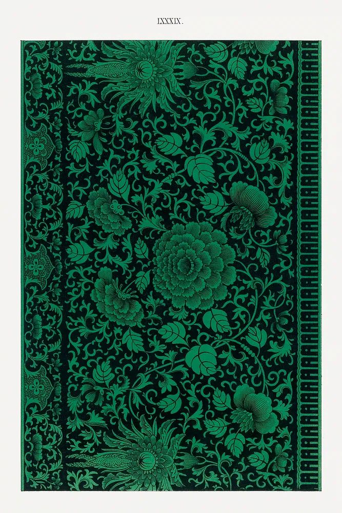 Flower illustration, Examples Chinese Ornament. poster — botanical art