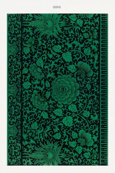 Flower illustration, Examples Chinese Ornament. poster print