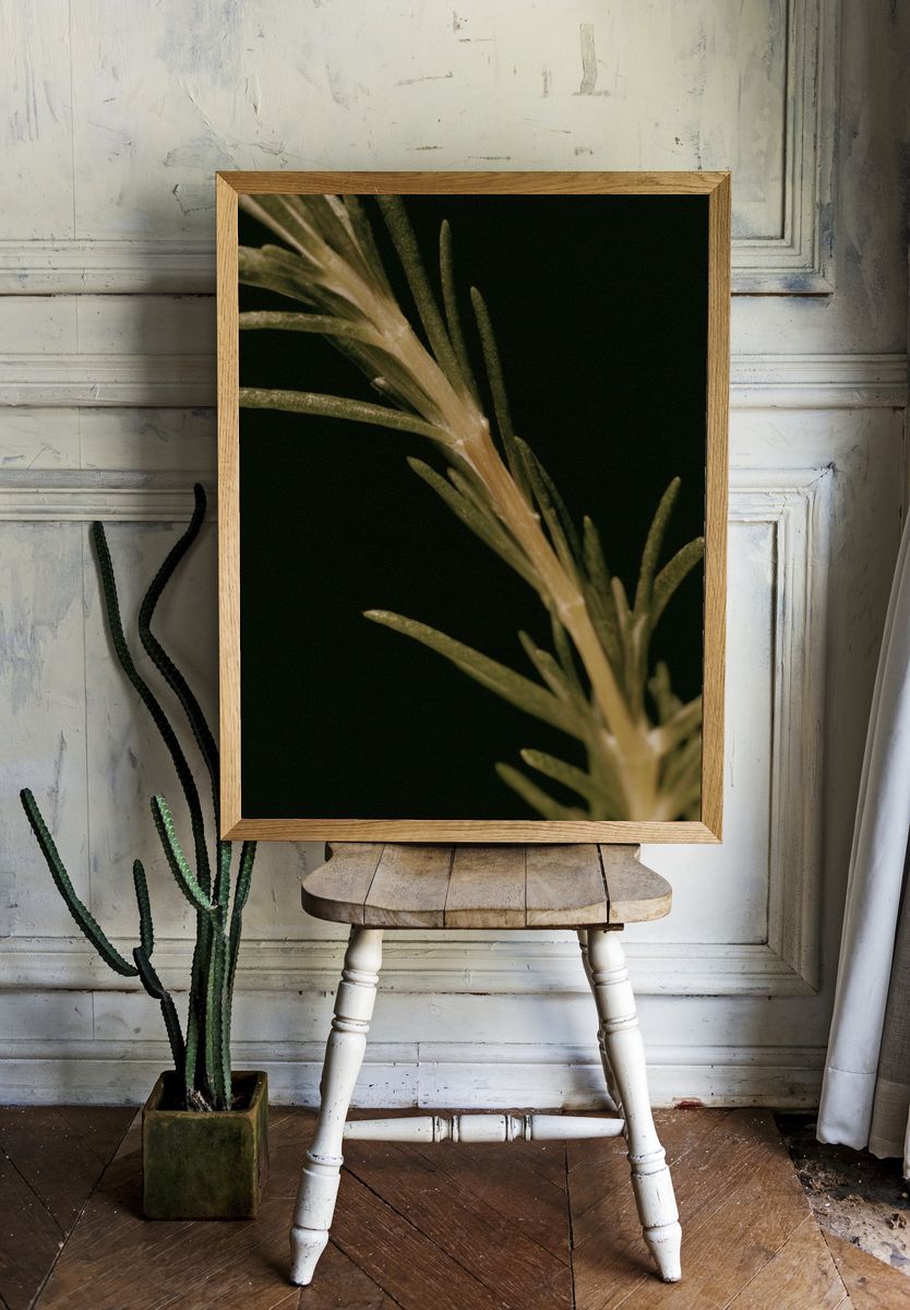 Rosemary Sprig Botanical Print. room preview
