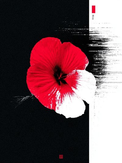 Red Hibiscus Ink Poster. poster print