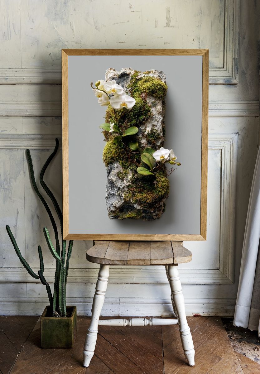 Mossy Orchid Stone Botanical Print. room preview