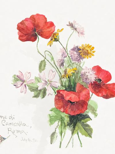 Poppy flowers, Terme di Caracallati. poster print