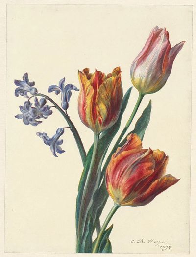 Drie tulpen en een takje.