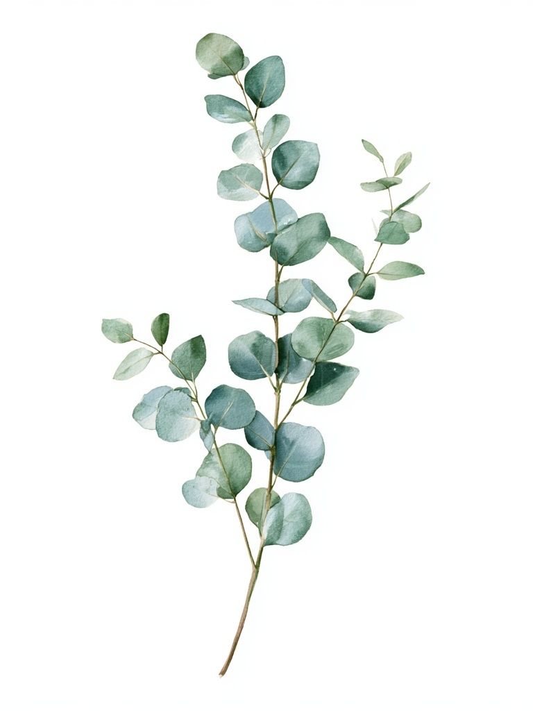 Eucalyptus Branch Watercolor Print. poster — botanical art