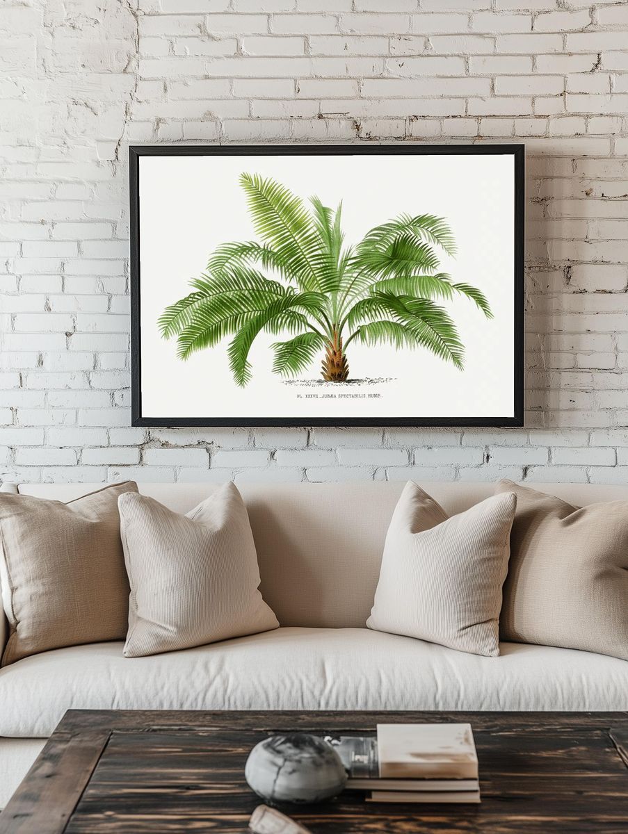 Vintage palm tree illustration. Digitally. — room view 1