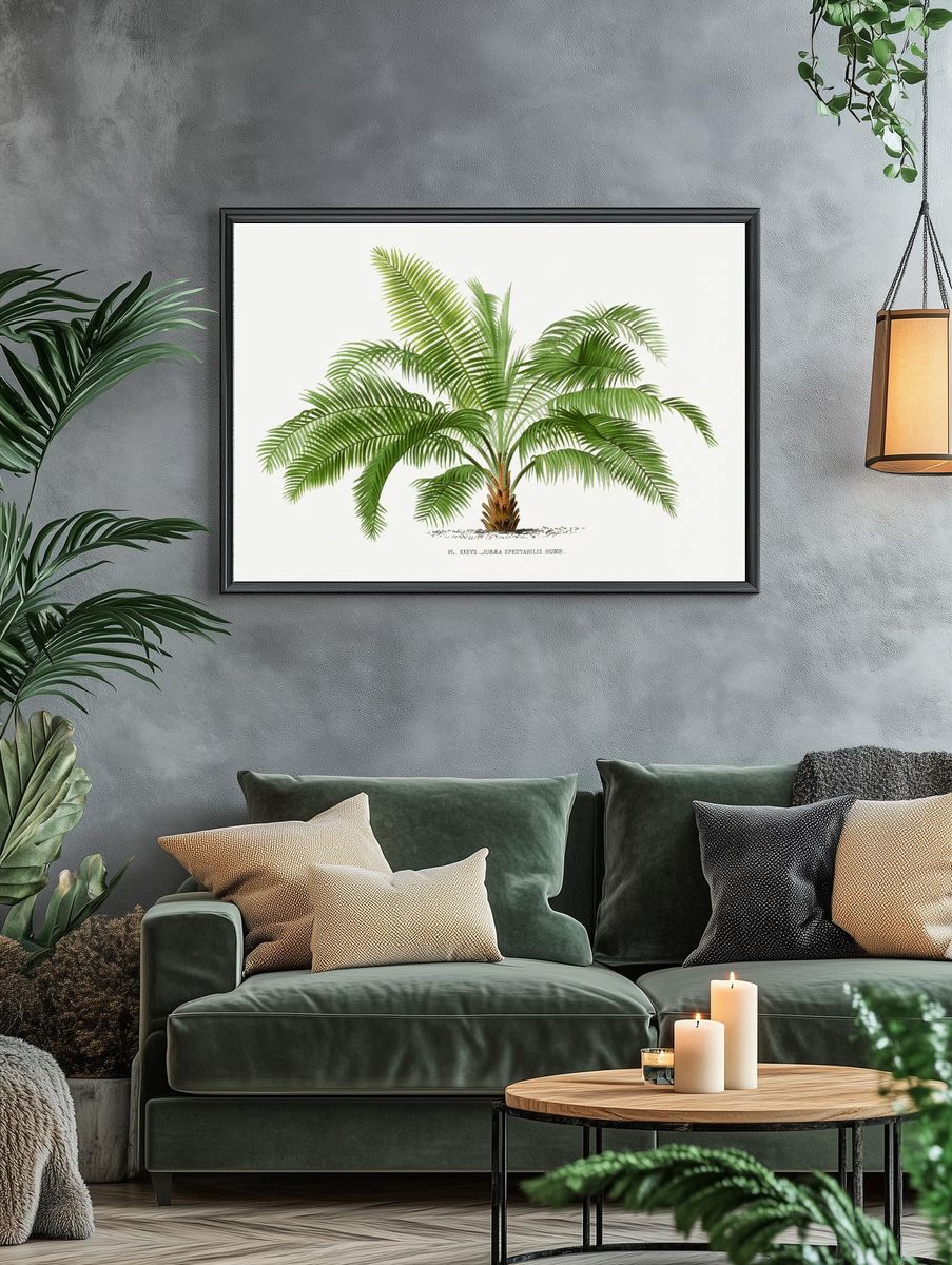 Vintage palm tree illustration. Digitally. — room view 4