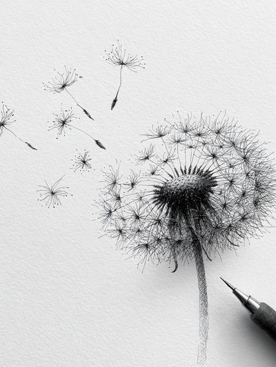 Dandelion Sketch Minimalist Print. poster