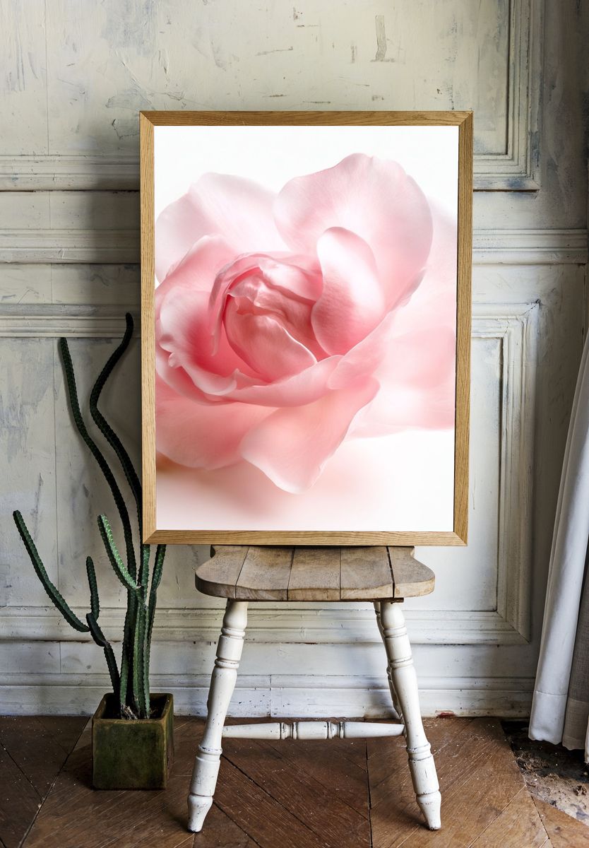 Blush Peony Botanical Print. — room view 1