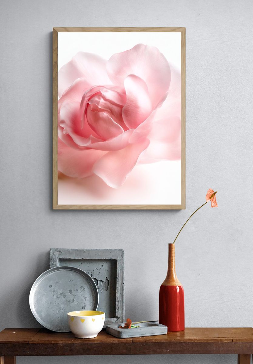 Blush Peony Botanical Print. — room view 3