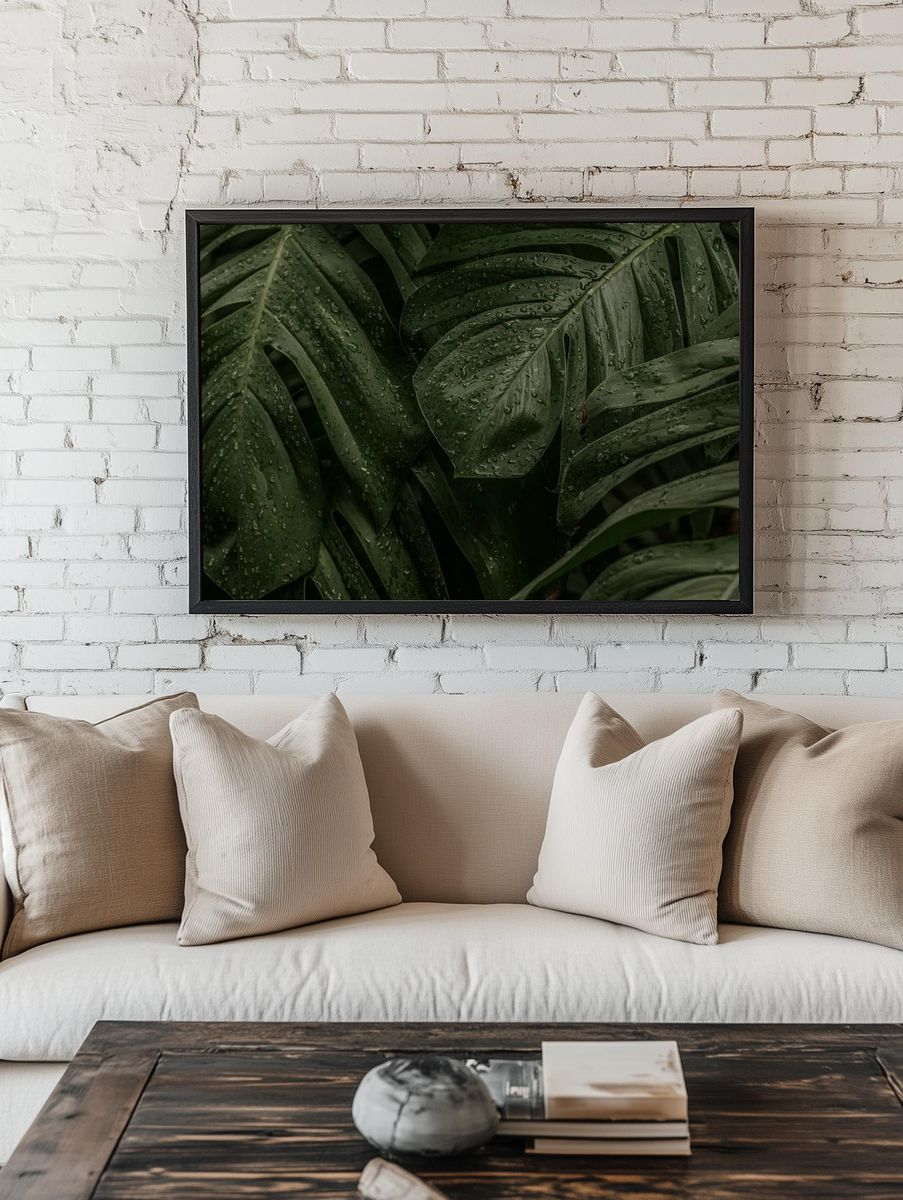 Wet Monstera deliciosa plant leaves room preview