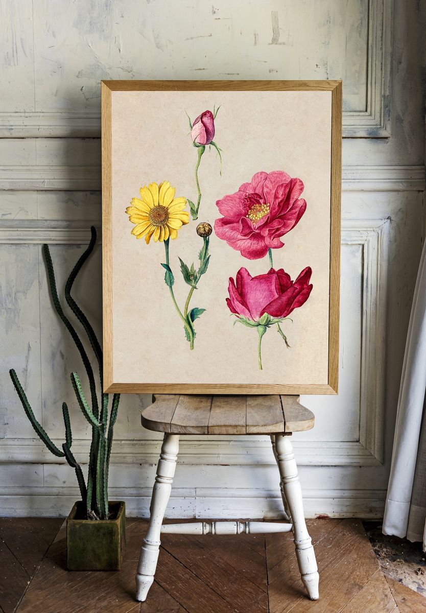Sheet Studies French Roses Oxeye room preview