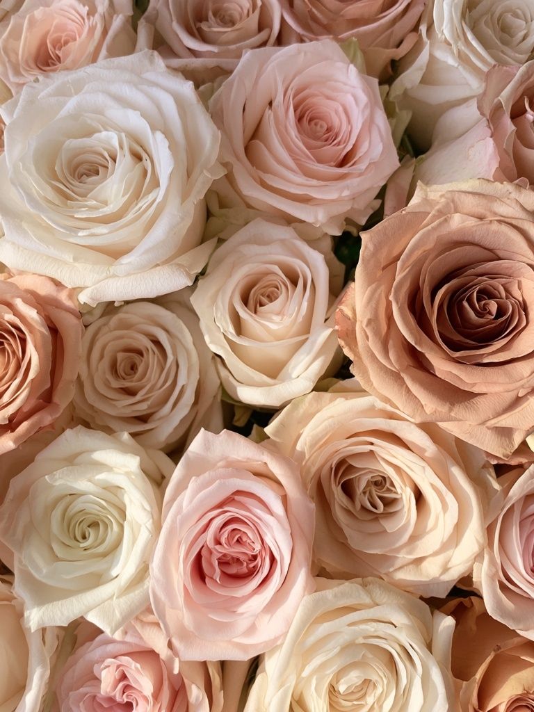 Blush Rose Bouquet Print. poster — botanical art