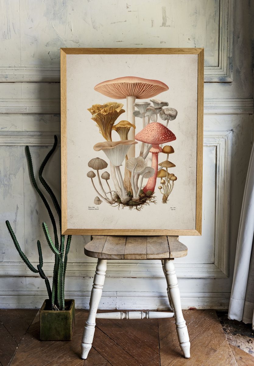 Mushroom Botanical Illustration Poster room preview
