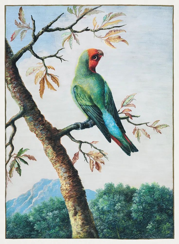 Bird Study painting high resolution. poster — botanical art