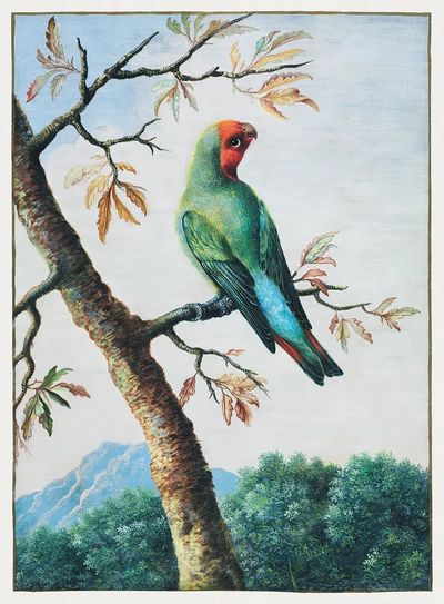 Bird Study painting high resolution. poster print