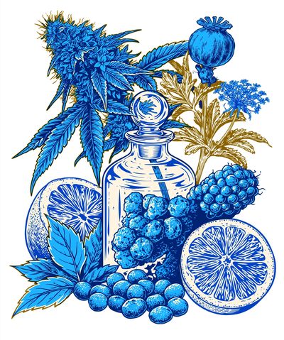 Blue Botanical Still Life Poster. poster