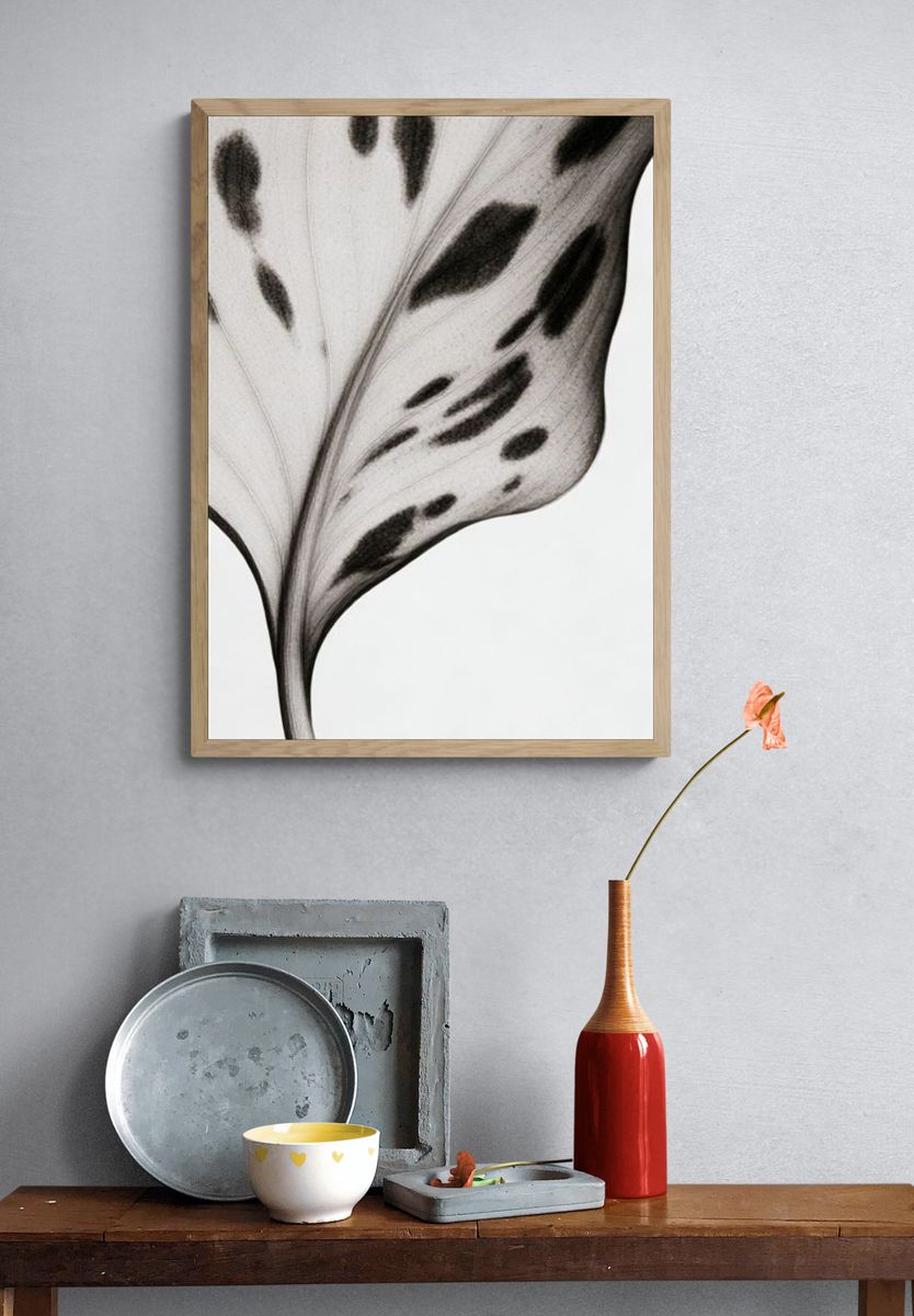 Monochrome Leaf Vein Botanical Print. — room view 3
