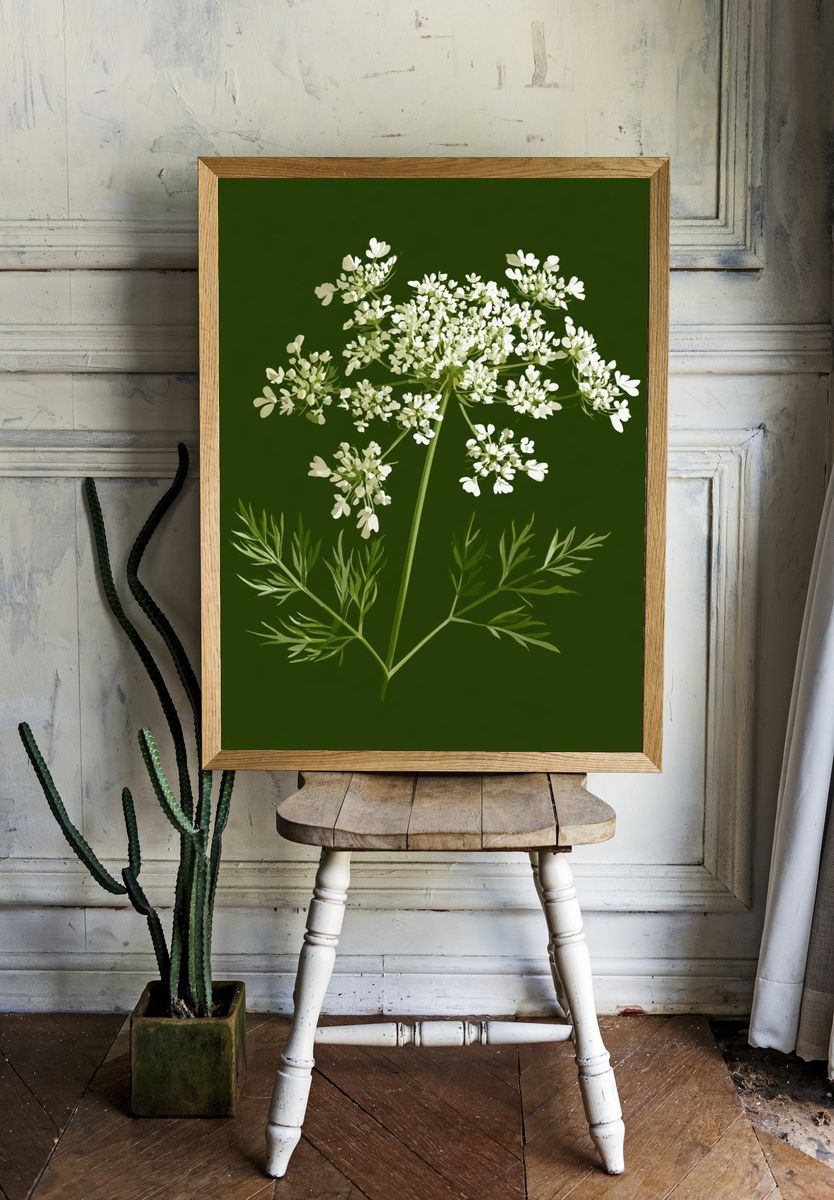 Queen Anne's Lace Botanical Print. — room view 1