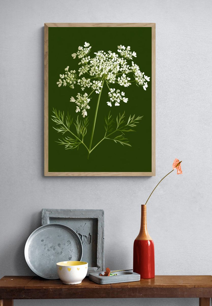 Queen Anne's Lace Botanical Print. — room view 3