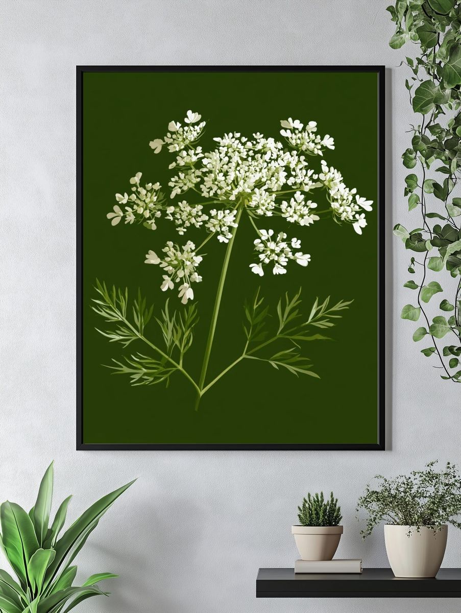 Queen Anne's Lace Botanical Print. — room view 4