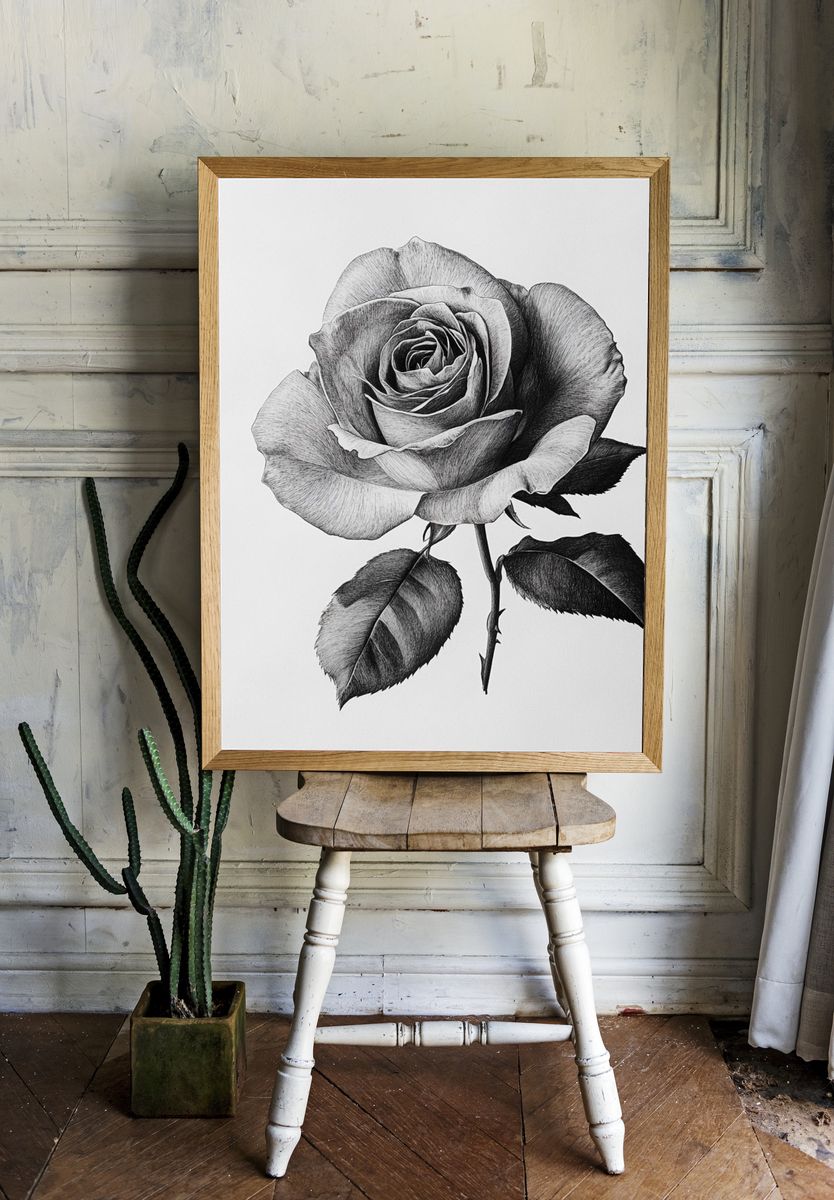 Black and White Rose Botanical Print. room preview