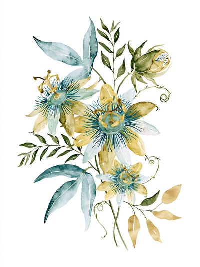 Blue Passionflower Botanical Poster. poster