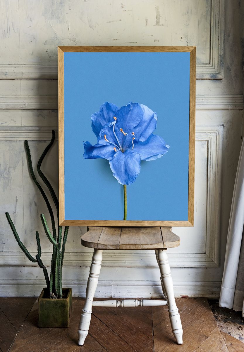 Blue Flower Minimalist Print. — room view 1