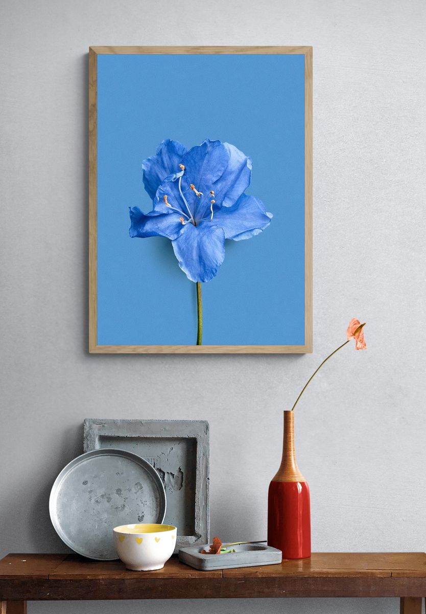 Blue Flower Minimalist Print. — room view 3